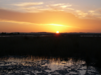 Birket Siwa I